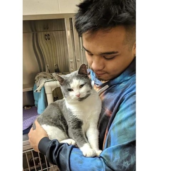 Meet your Posher, Sam - Picture 1 of 1